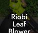 Riobi Leaf Blower