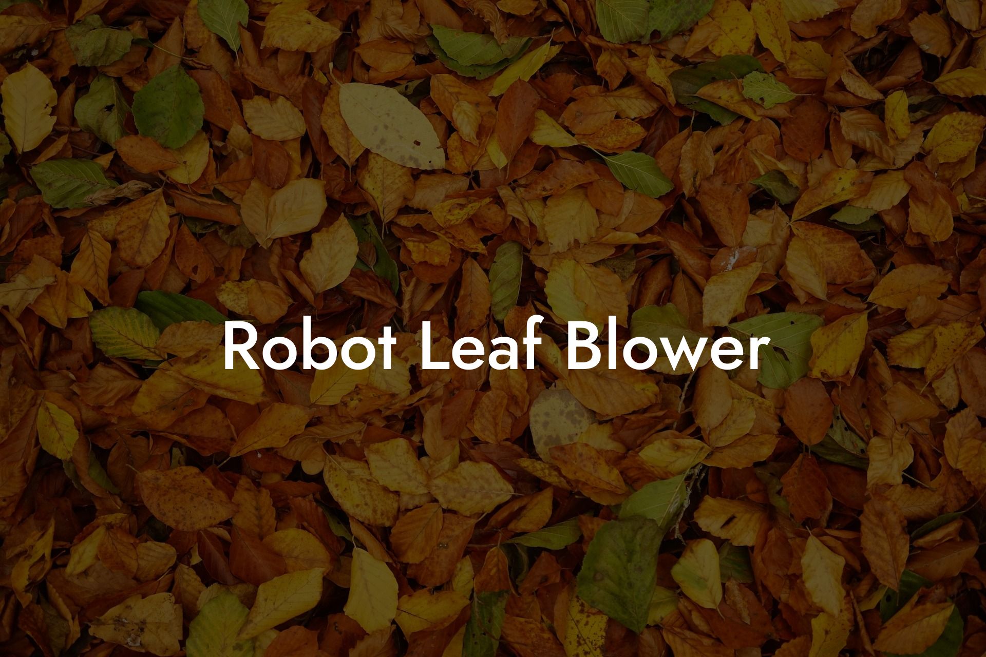 Robot Leaf Blower