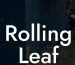 Rolling Leaf Blower