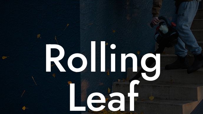 Rolling Leaf Blower