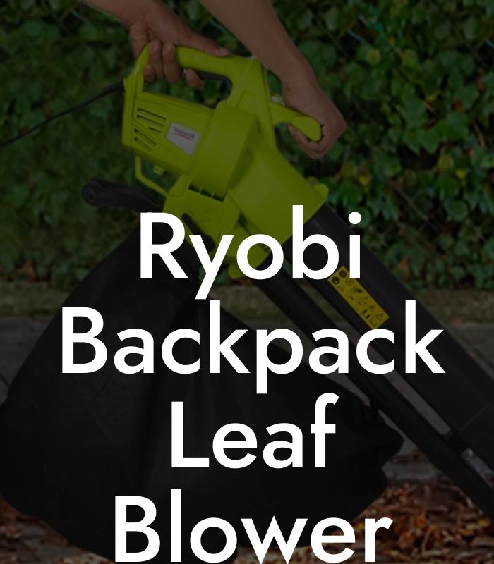 Ryobi Backpack Leaf Blower