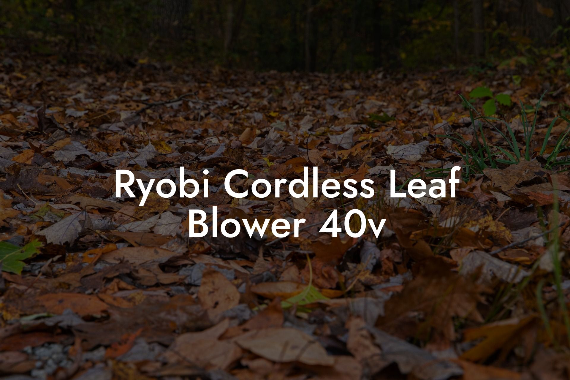 Ryobi Cordless Leaf Blower 40v