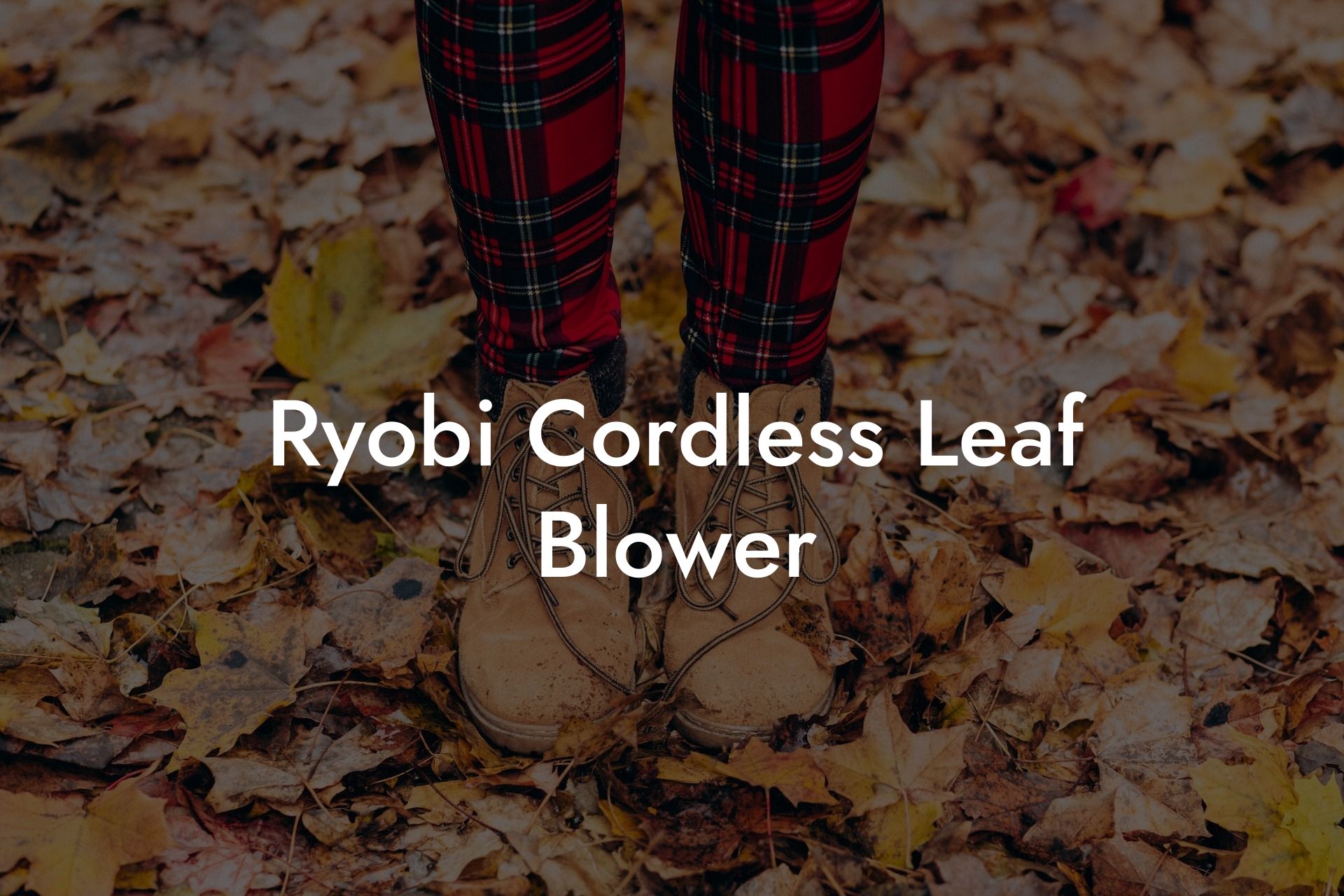 Ryobi Cordless Leaf Blower