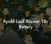 Ryobi Leaf Blower 18v Battery