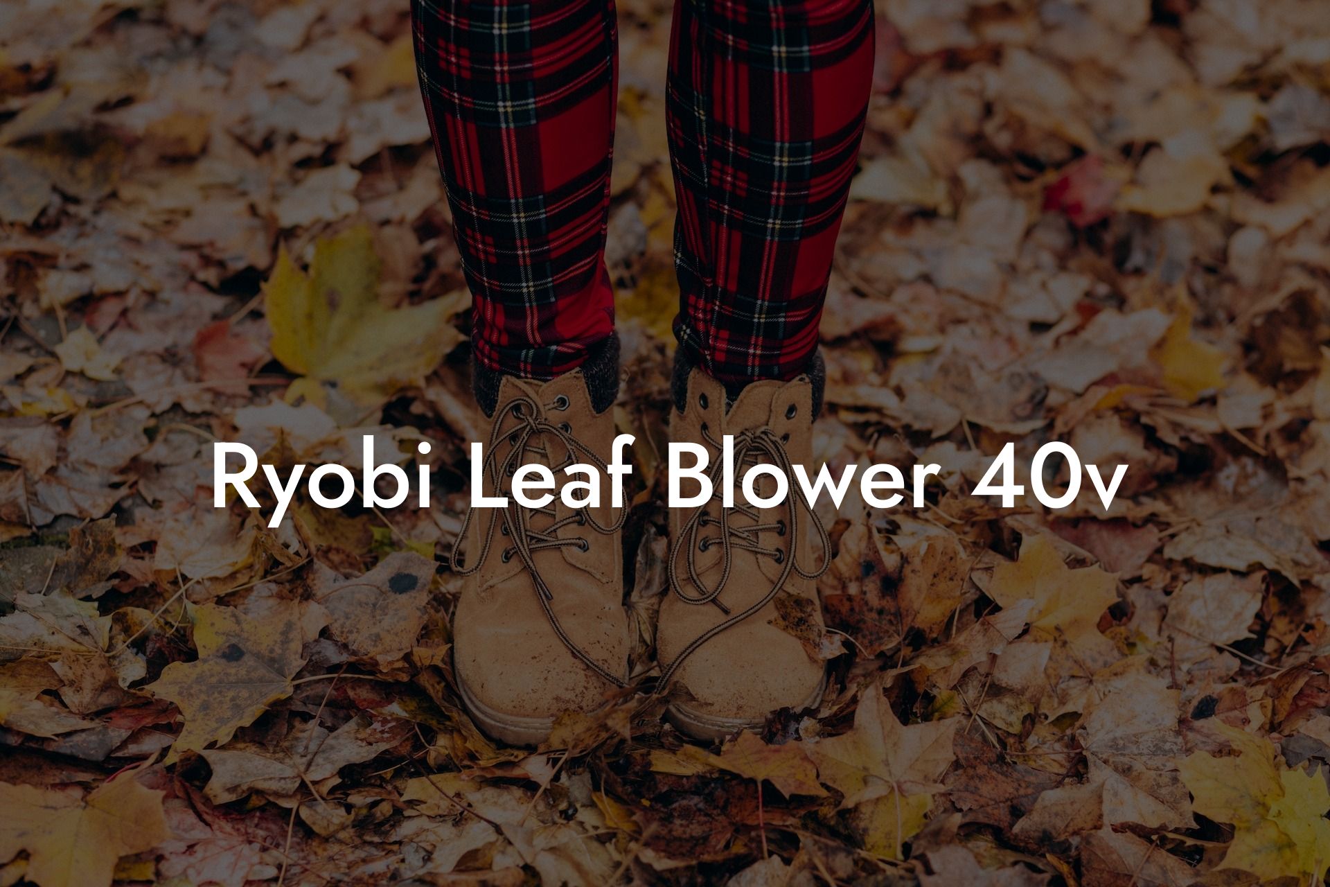 Ryobi Leaf Blower 40v