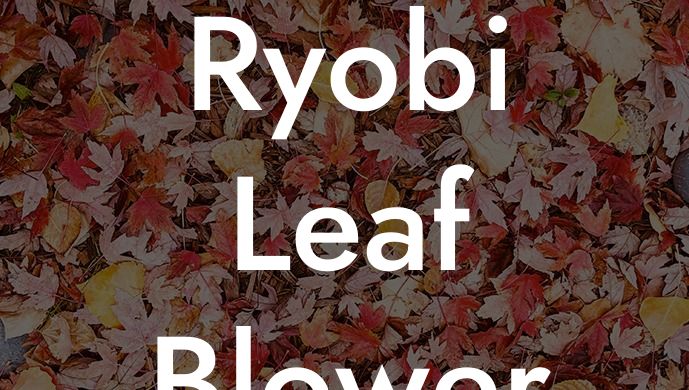 Ryobi Leaf Blower Carburetor Cleaning