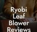 Ryobi Leaf Blower Reviews