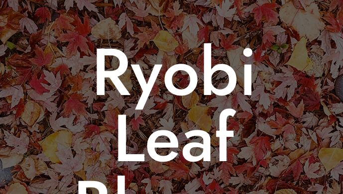 Ryobi Leaf Blower Sale