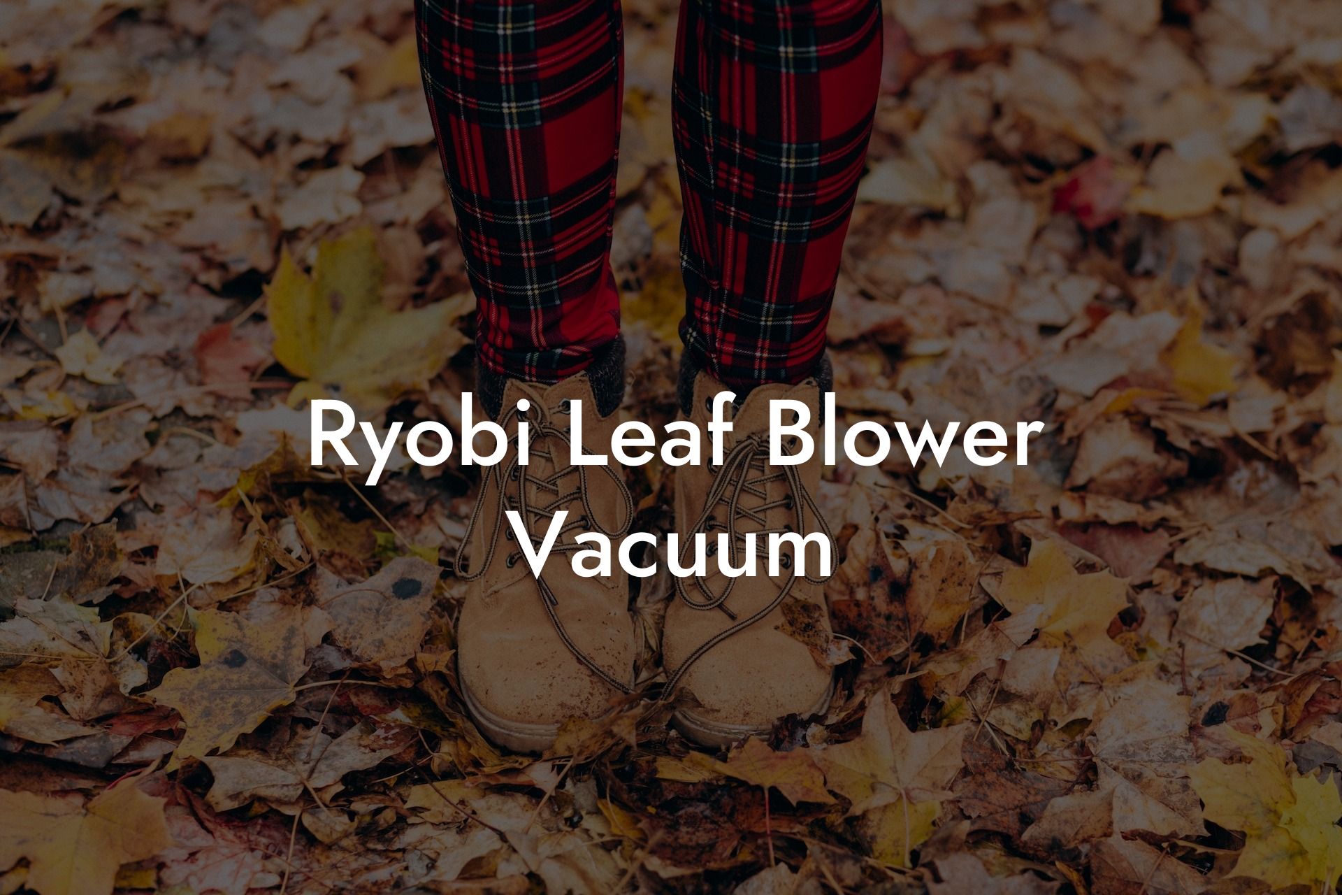 Ryobi Leaf Blower Vacuum