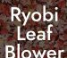 Ryobi Leaf Blower Won't Start