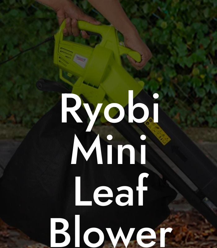 Ryobi Mini Leaf Blower