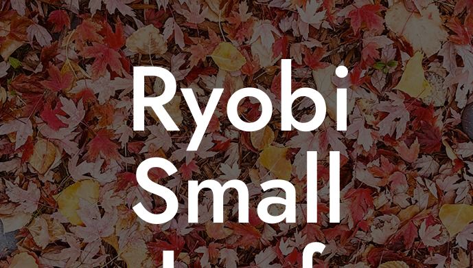 Ryobi Small Leaf Blower