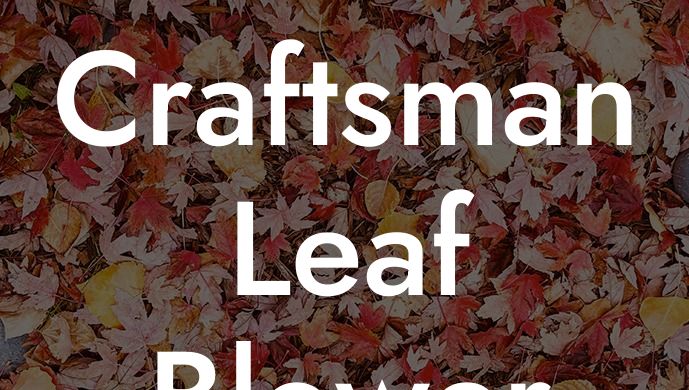 Schematic Craftsman Leaf Blower Fuel Line Diagram