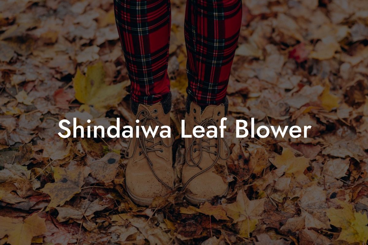 Shindaiwa Leaf Blower