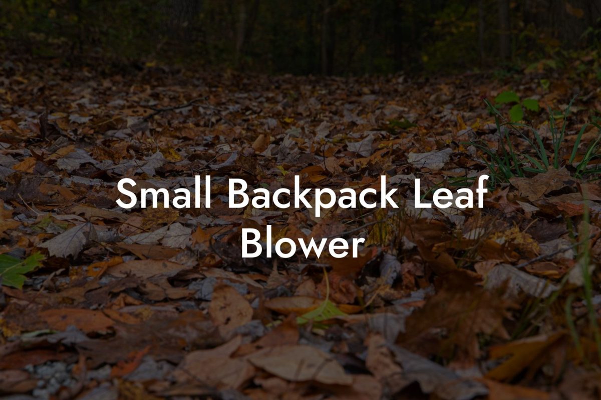 Small Backpack Leaf Blower