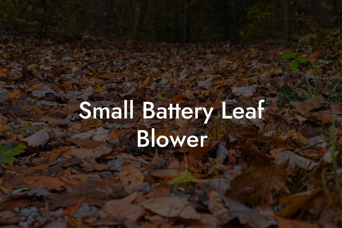 Small Battery Leaf Blower