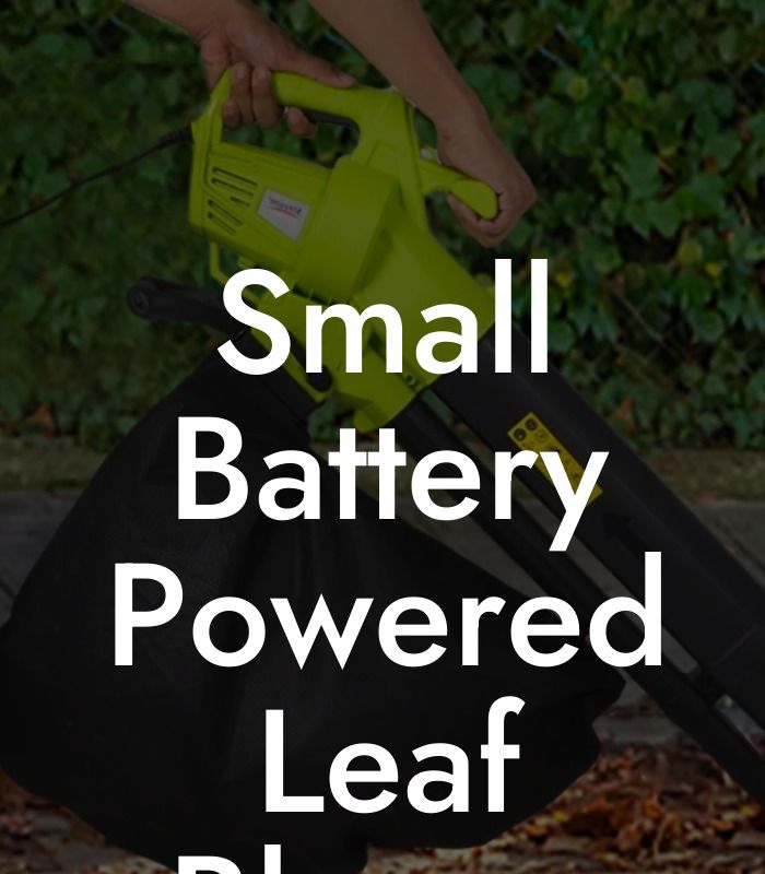 Small Battery Powered Leaf Blower