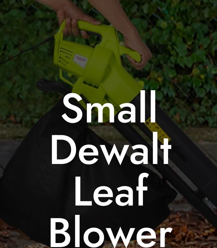 Small Dewalt Leaf Blower