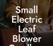 Small Electric Leaf Blower Cordless