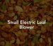 Small Electric Leaf Blower