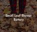 Small Leaf Blower Battery