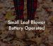 Small Leaf Blower Battery Operated