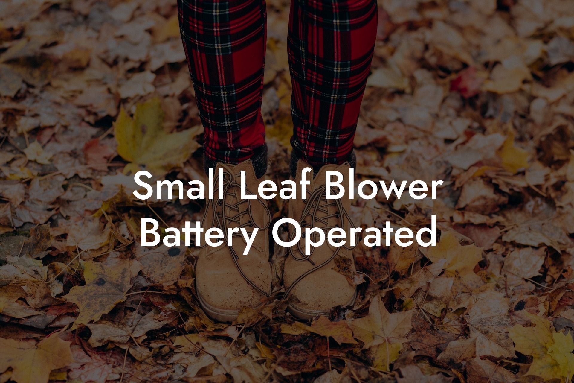 Small Leaf Blower Battery Operated