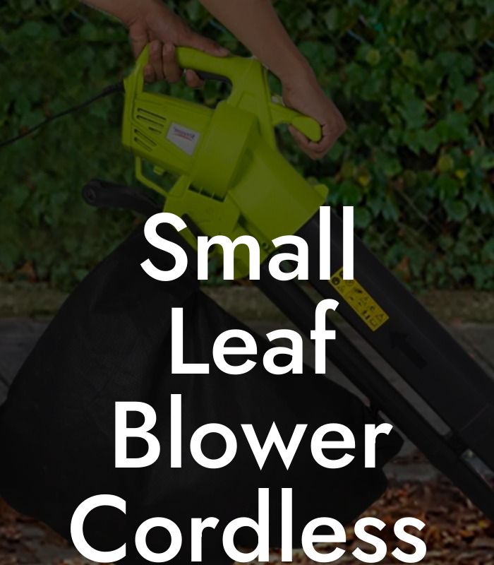 Small Leaf Blower Cordless