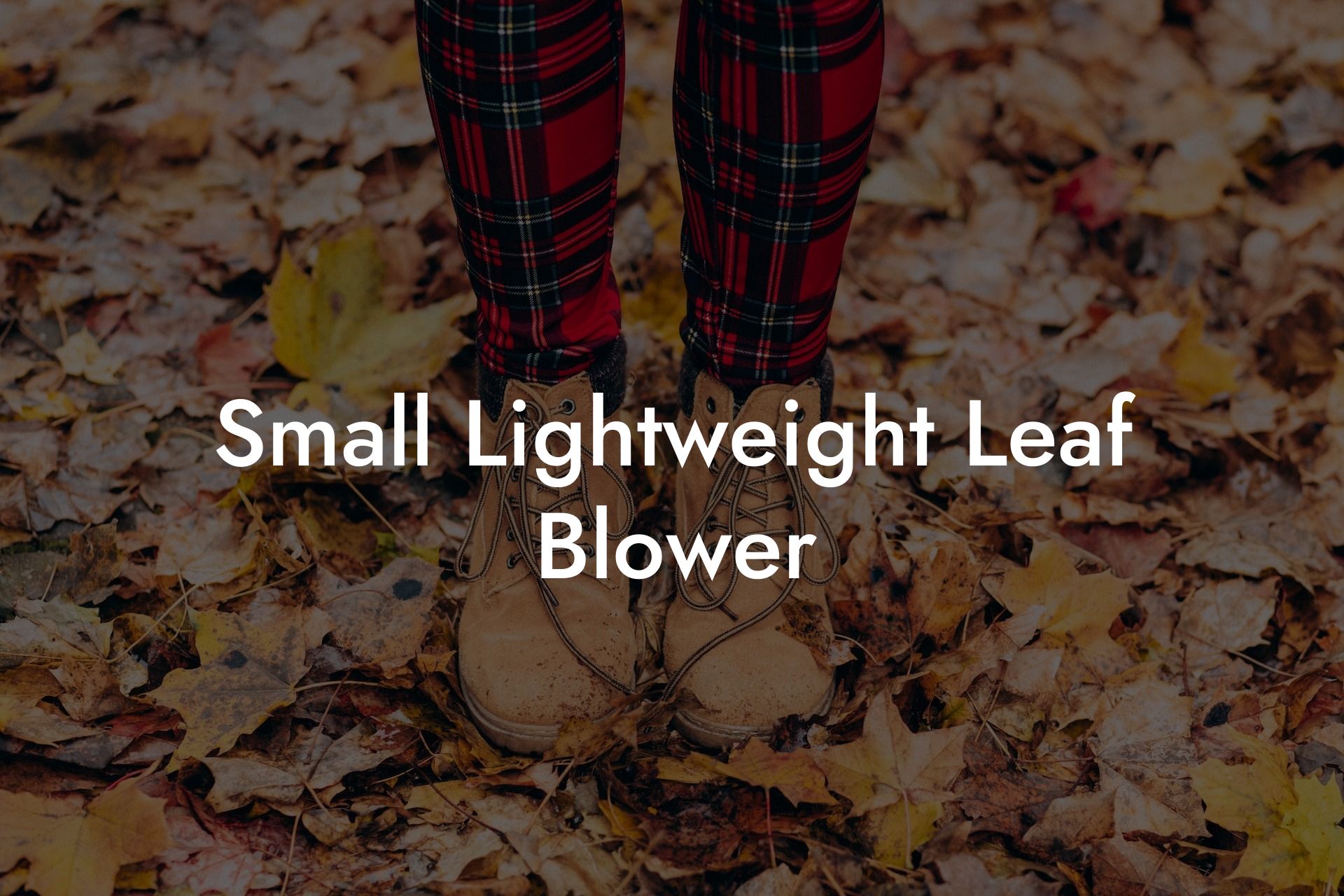 Small Lightweight Leaf Blower