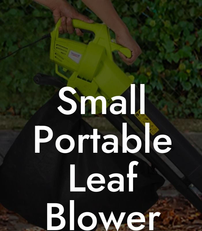 Small Portable Leaf Blower