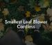 Smallest Leaf Blower Cordless