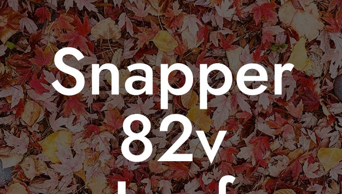 Snapper 82v Leaf Blower