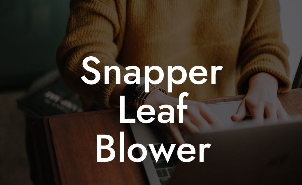 Snapper Leaf Blower