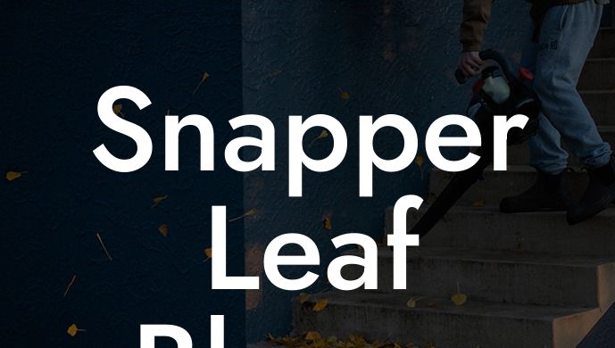 Snapper Leaf Blower Parts