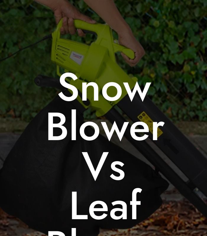 Snow Blower Vs Leaf Blower