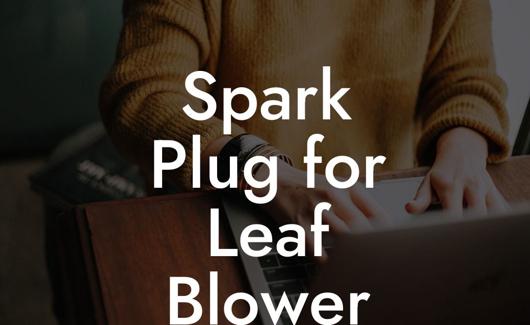 Spark Plug for Leaf Blower