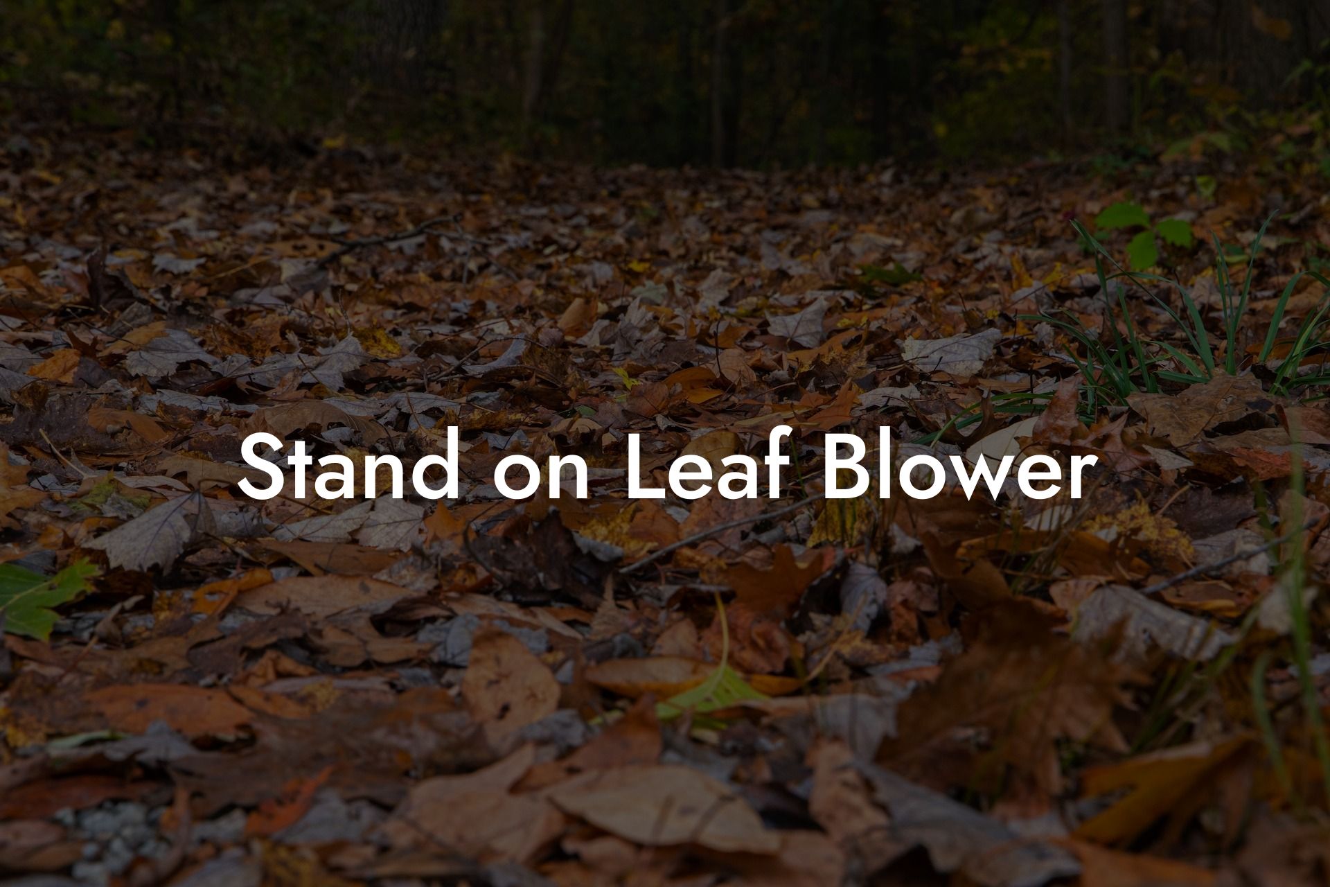 Stand on Leaf Blower