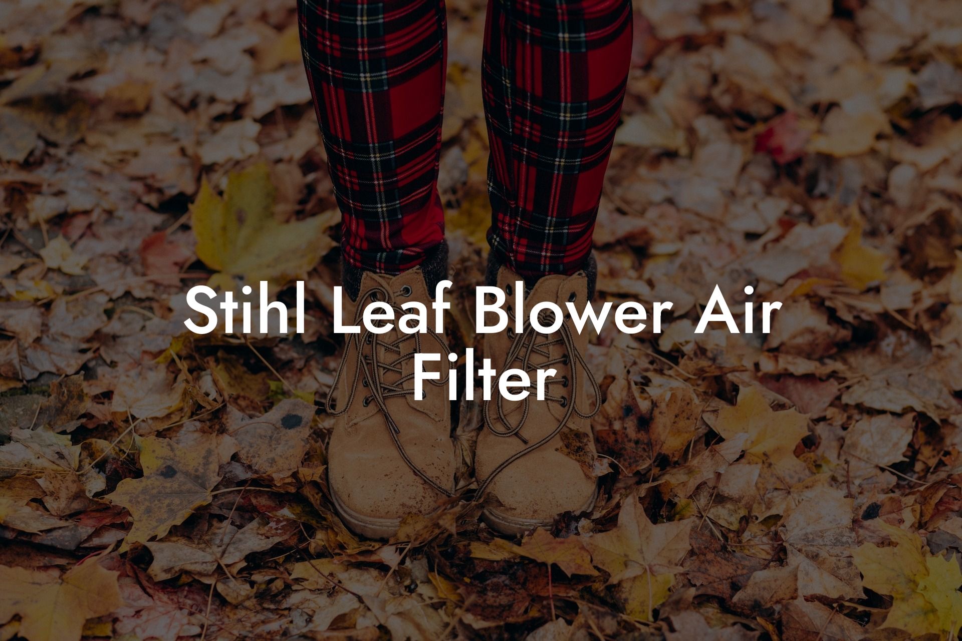 Stihl Leaf Blower Air Filter