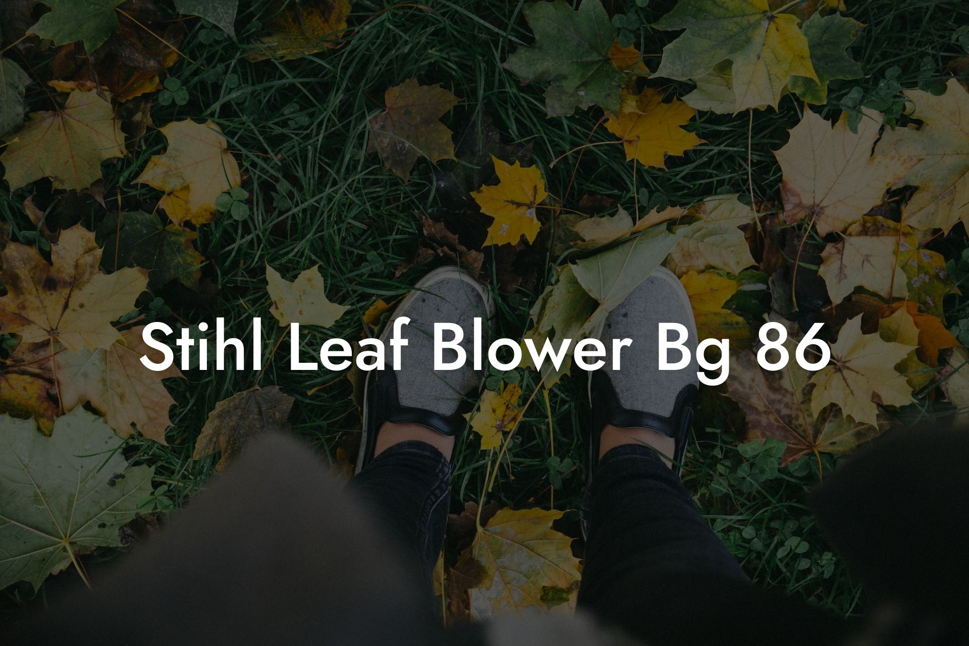 Stihl Leaf Blower Bg 86