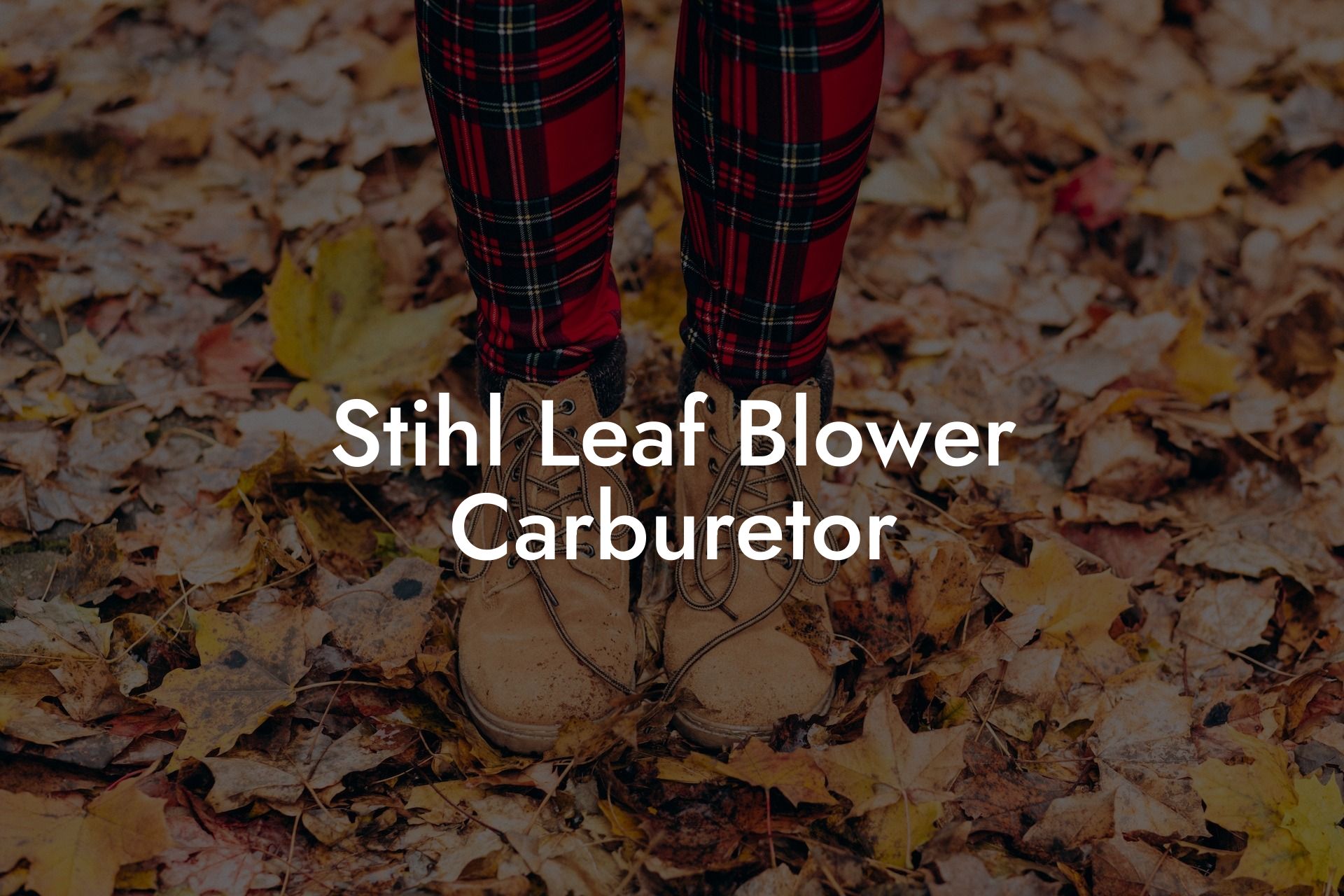 Stihl Leaf Blower Carburetor