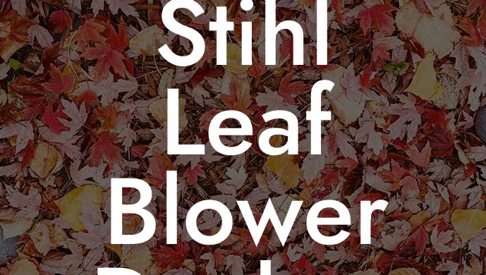 Stihl Leaf Blower Dealers Near Me