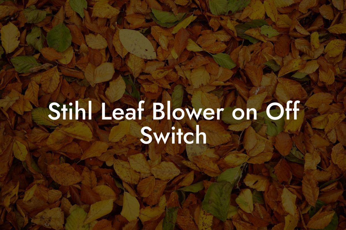 Stihl Leaf Blower on Off Switch