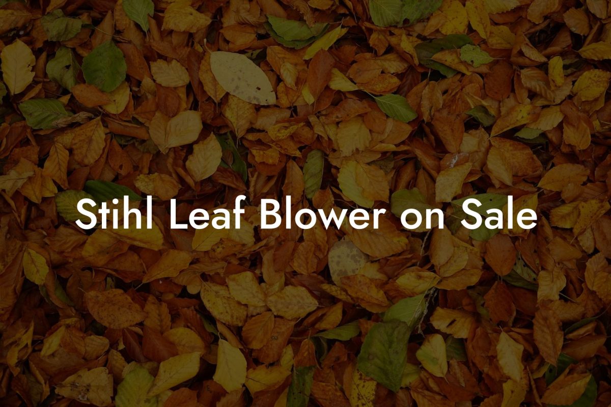 Stihl Leaf Blower on Sale