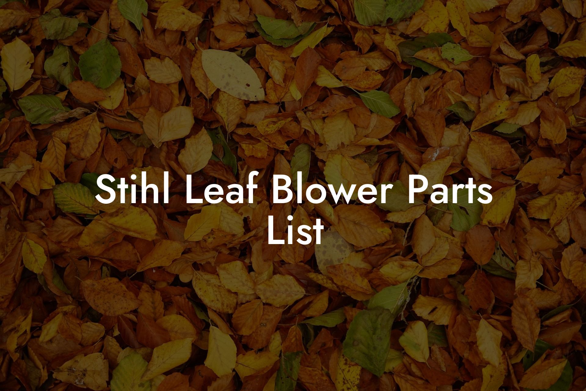 Stihl Leaf Blower Parts List