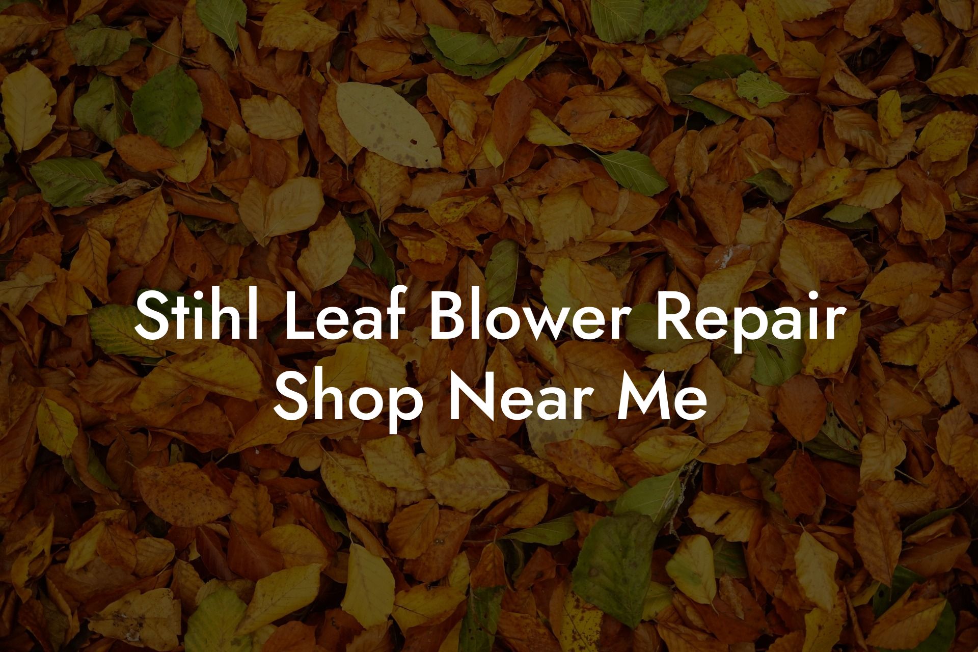 Stihl Leaf Blower Repair Shop Near Me