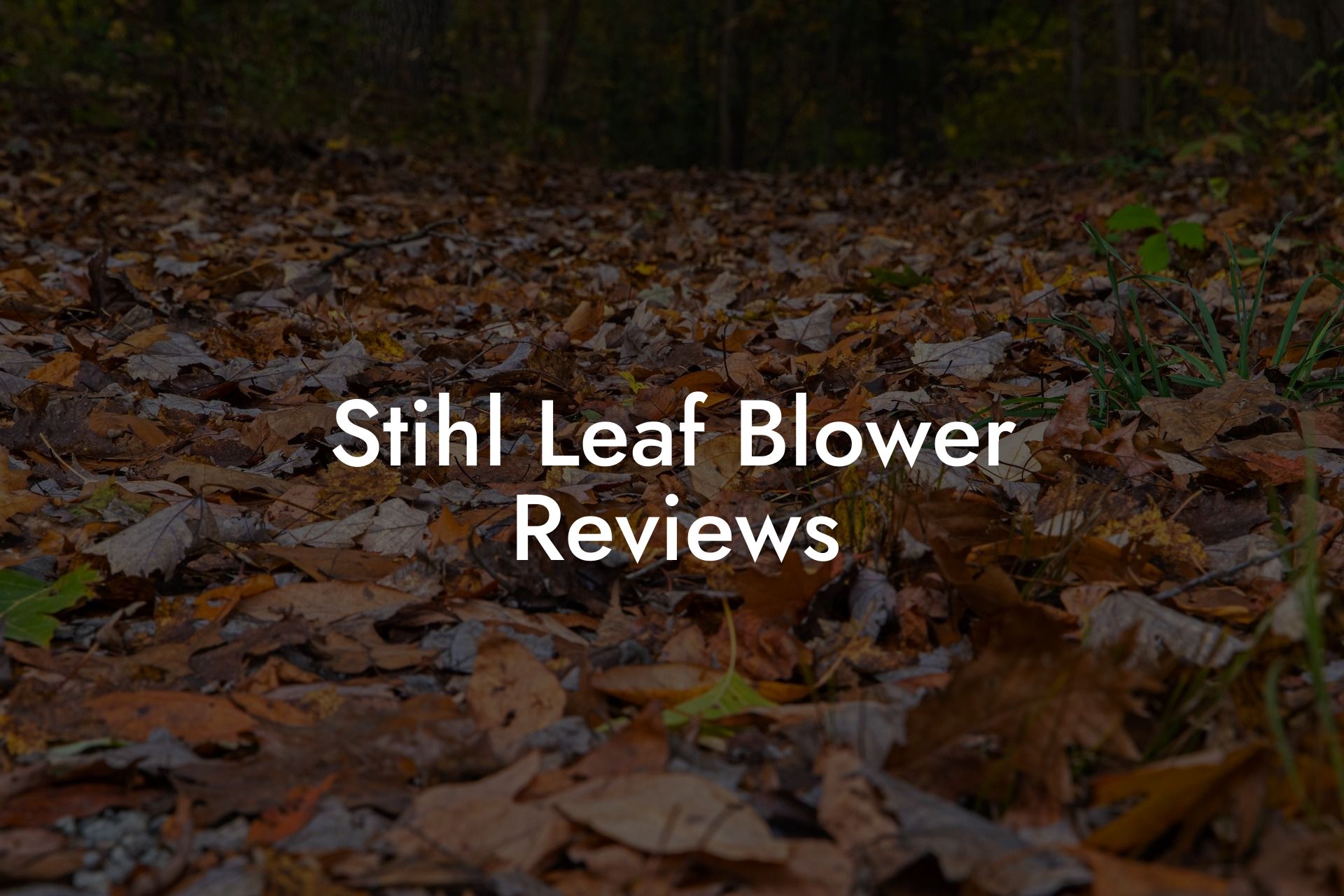 Stihl Leaf Blower Reviews