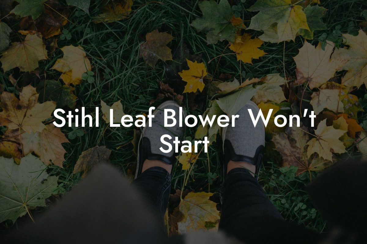 Stihl Leaf Blower Won't Start