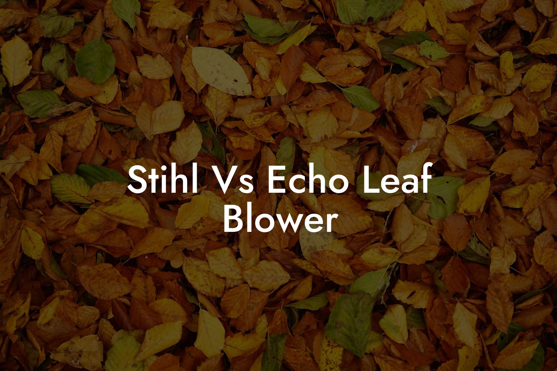 Stihl Vs Echo Leaf Blower