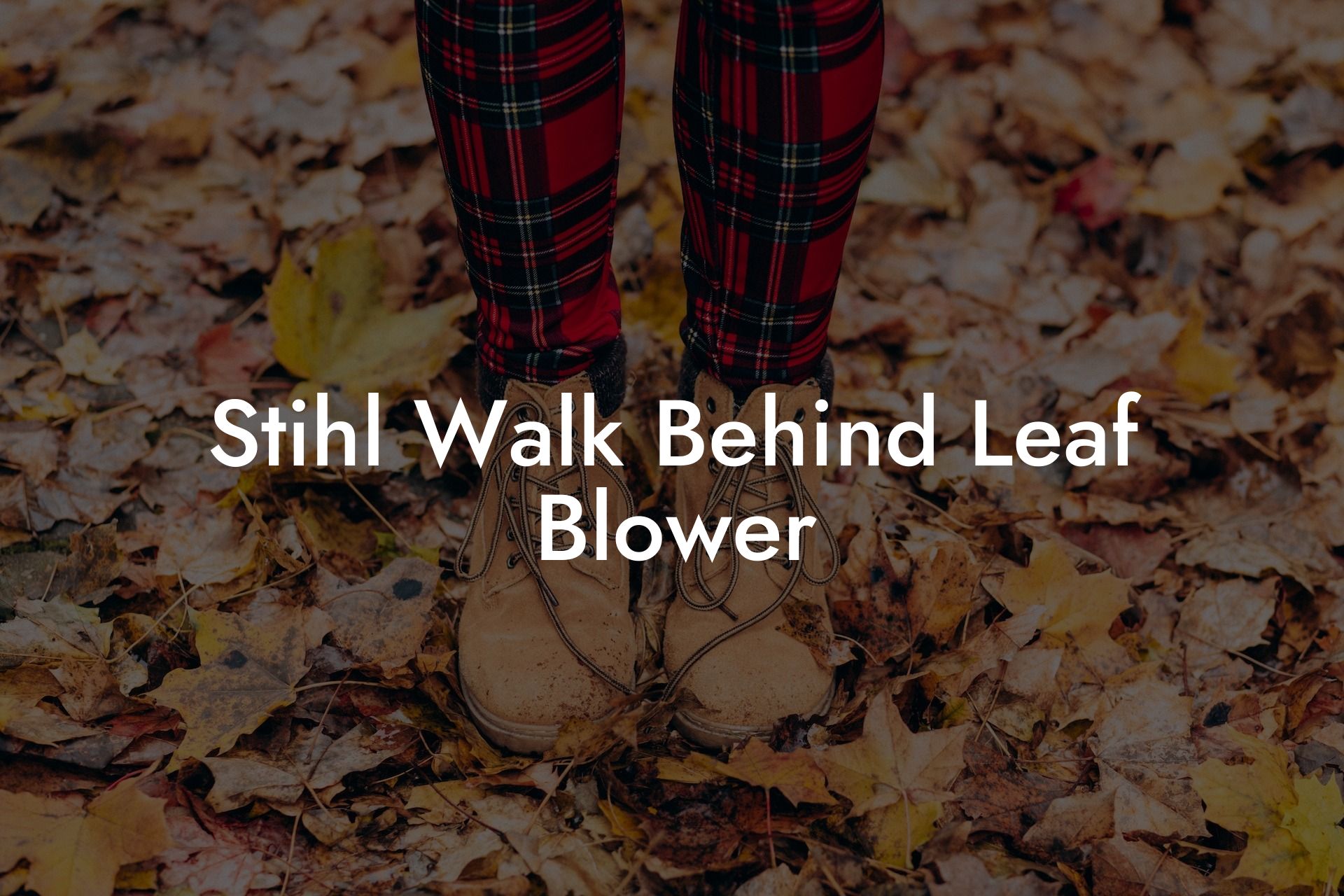 Stihl Walk Behind Leaf Blower