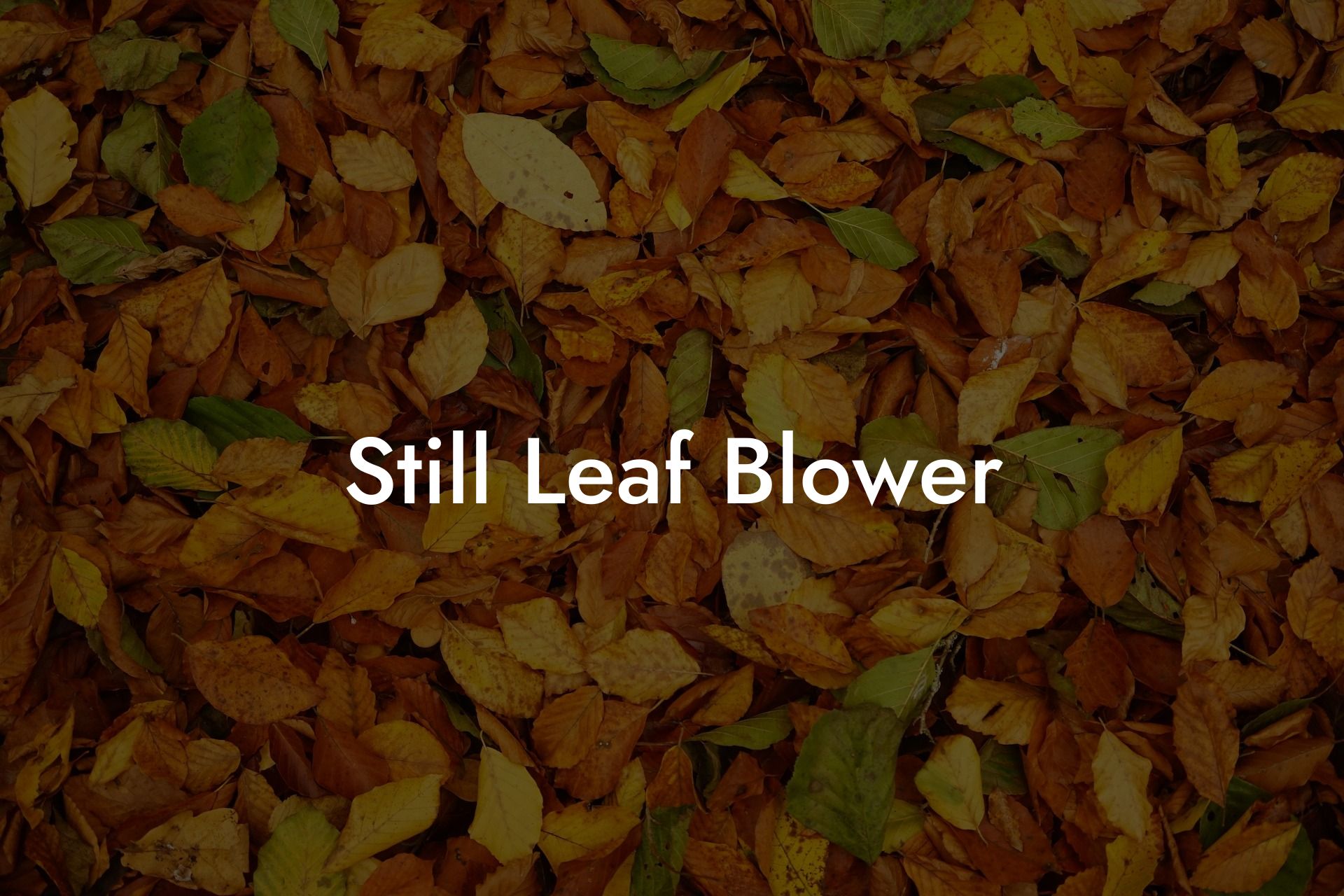 Still Leaf Blower